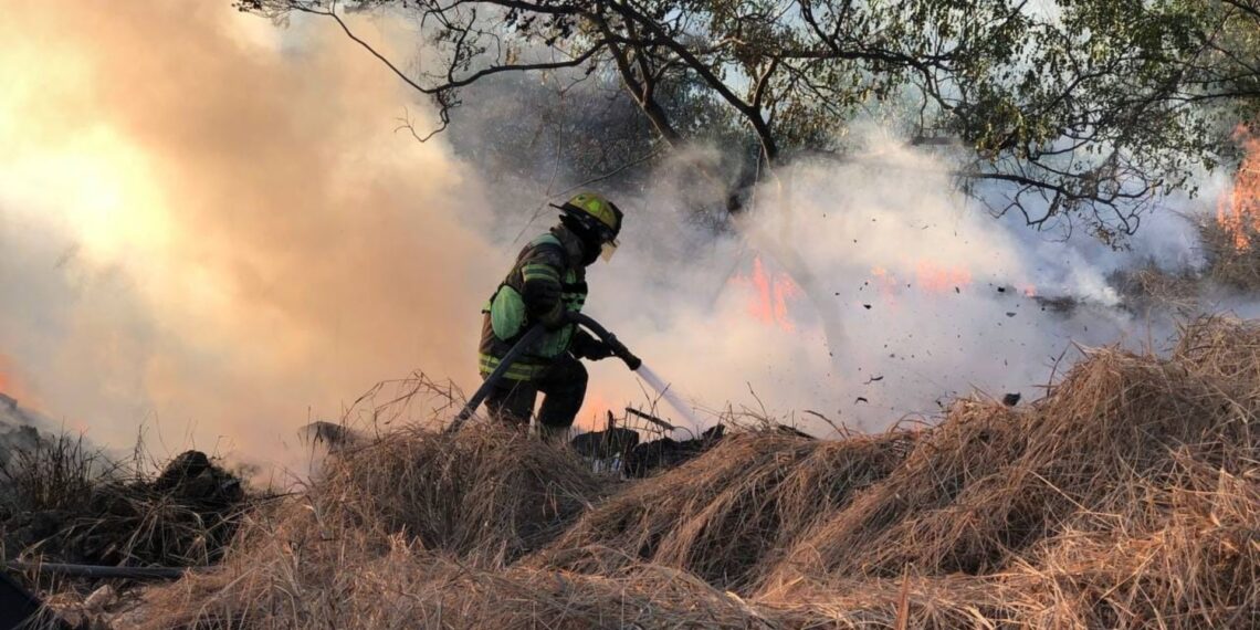Investigan incendios provocados en NL