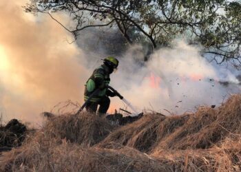 Investigan incendios provocados en NL