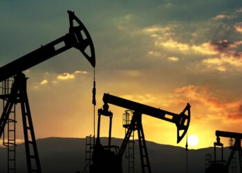 Ambientalistas se pronuncian contra proyecto Willow