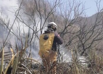 Protección Civil pide no encender fogatas