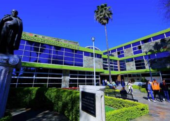 Cantú alargó su mandato por dos años después de terminar su segundo periodo en la dirección, al fungir como coordinadora.