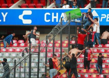 Un año y como si nada… bueno sí, nació el FAN ID