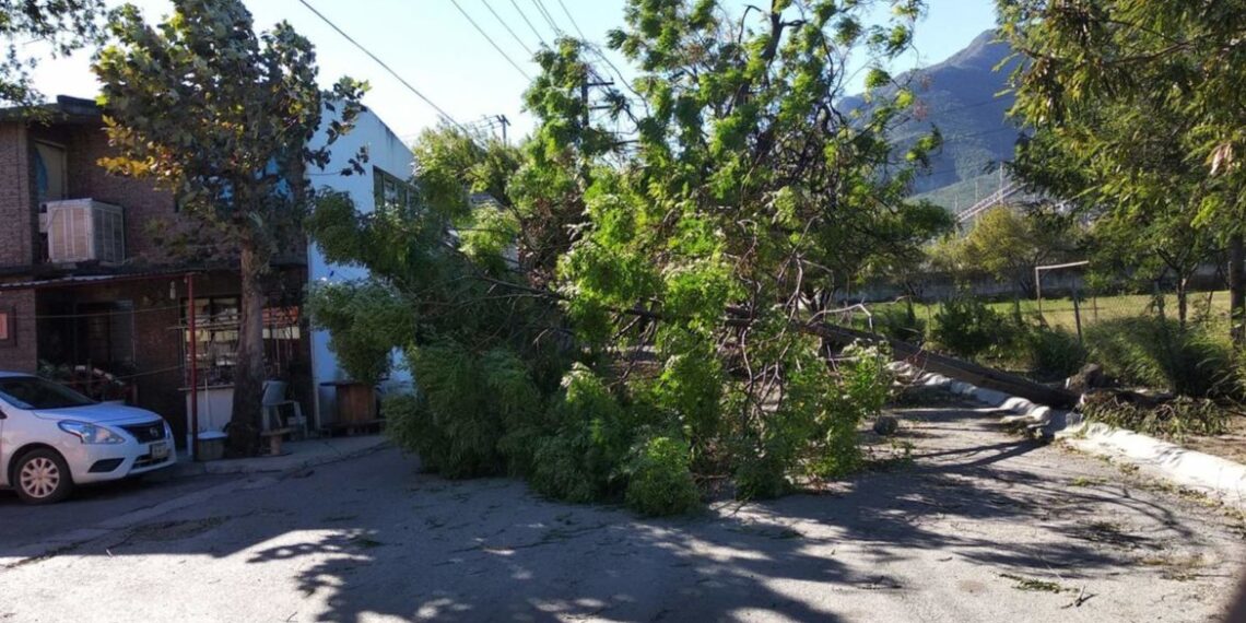 Sorprende a regios viento y lluvia