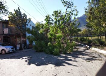 Sorprende a regios viento y lluvia