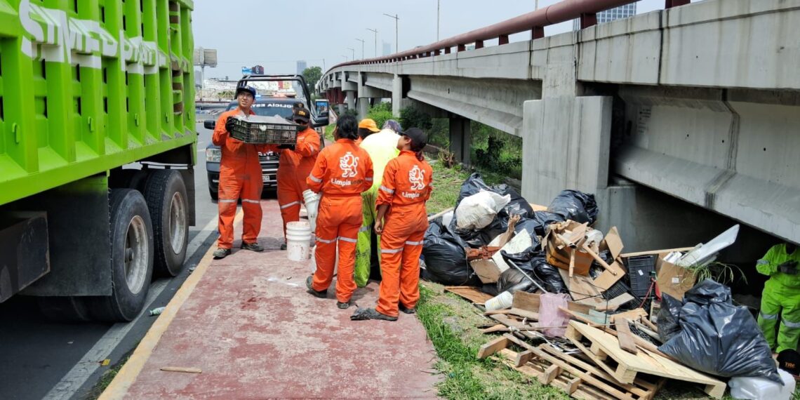 LimpiaLeón entra en acción
