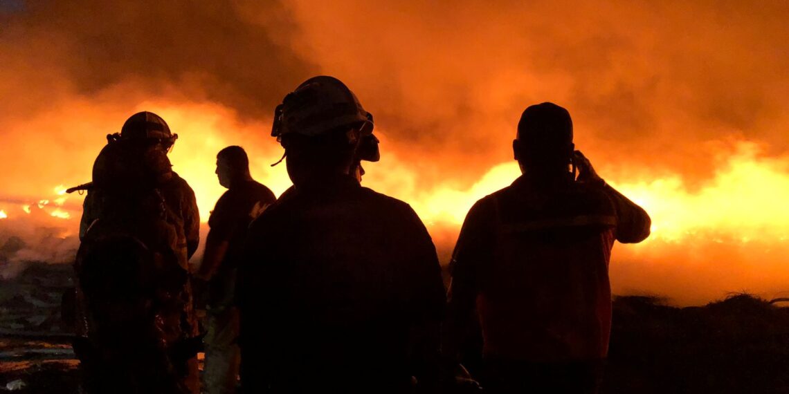 Incendios forestales: prevención es clave para evitarlos