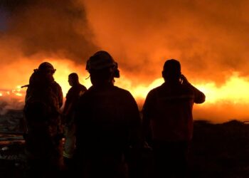Incendios forestales: prevención es clave para evitarlos