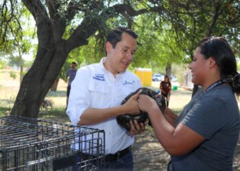 Brigada Metropolitana en favor de las mascotas