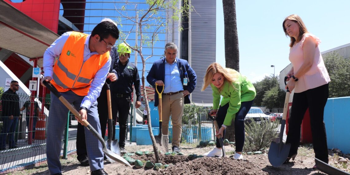 NL pone en marcha el programa Bosques de Salud