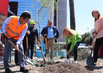 NL pone en marcha el programa Bosques de Salud