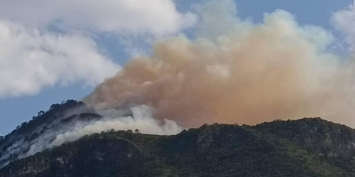 Inician los incendios forestales