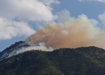 Inician los incendios forestales