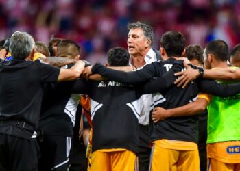 Siboldi se queda, le dan contrato por un año