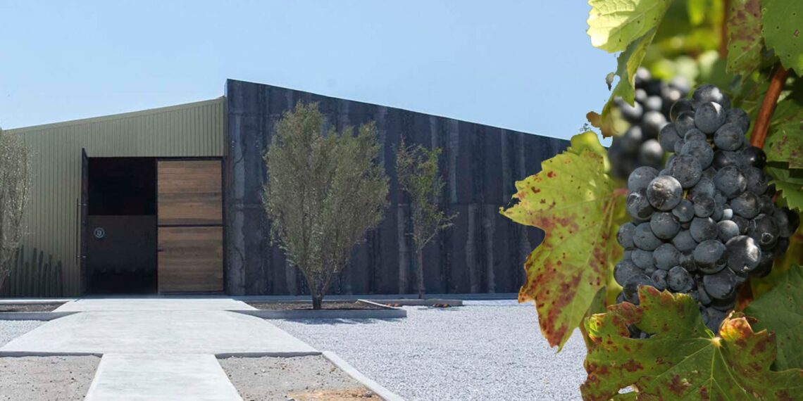 UANL abrirá Bodega Vinícola en el sur del estado