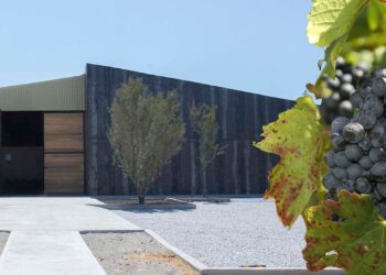 UANL abrirá Bodega Vinícola en el sur del estado