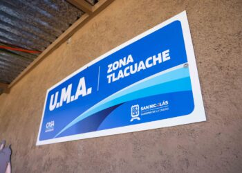 San Nicolás es Zona Tlacuache