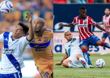 Ni Tigres ni Rayados