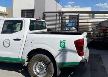 Rescatan a 17 perros que sufrían maltrato animal