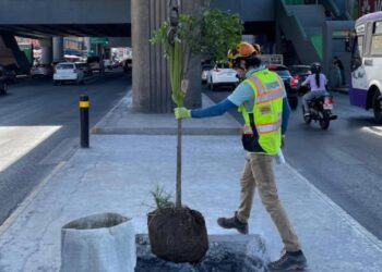 Líneas del metro serán “verdes” en NL