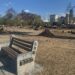 Retiran árboles muertos de la Alameda