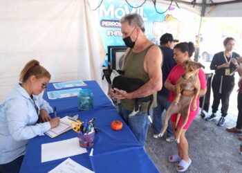 San Nicolás quiere vacunar a 4 mil michis y lomitos