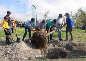 Inicia San Nicolás plantación de 370 árboles
