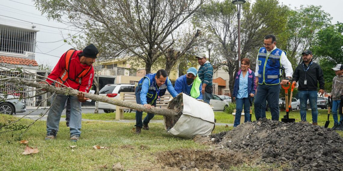 Siguen “poniendo verde” a San Nicolás