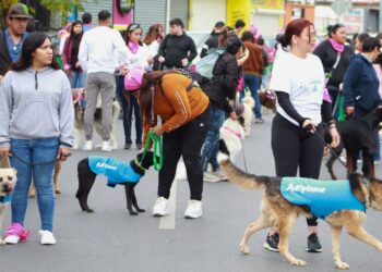 Vive San Nicolás un domingo muy perrón