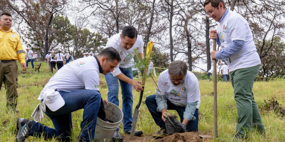 HEINEKEN México tuvo un año lleno de grandes acciones