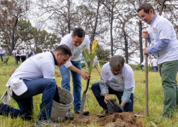 HEINEKEN México tuvo un año lleno de grandes acciones
