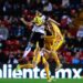 Tigres sufre con Gallos