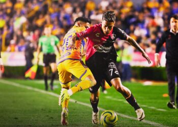 A Tigres se le fue vivo el zorro