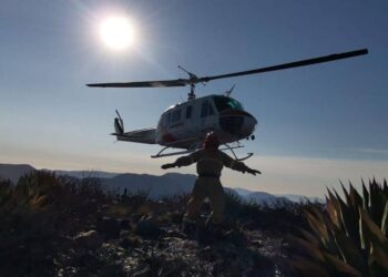 Reportan saldo blanco en Semana Santa