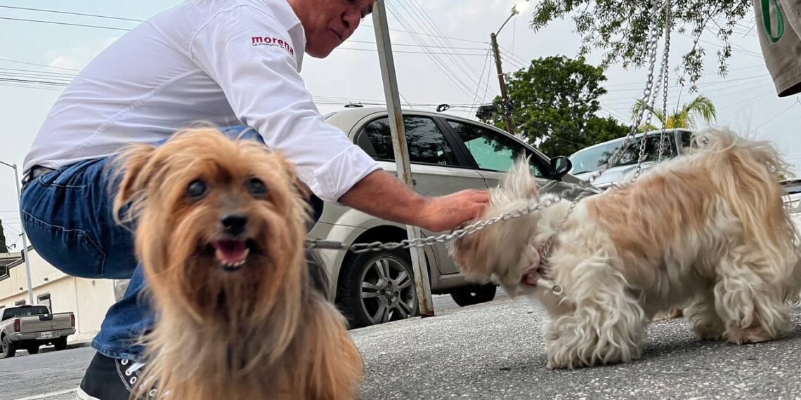Se compromete Víctor David Guerrero con el bienestar animal de San Nicolás