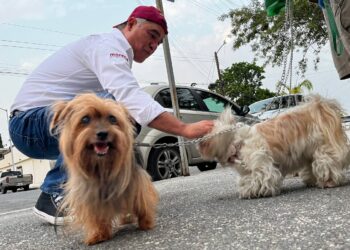 Se compromete Víctor David Guerrero con el bienestar animal de San Nicolás