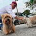Se compromete Víctor David Guerrero con el bienestar animal de San Nicolás