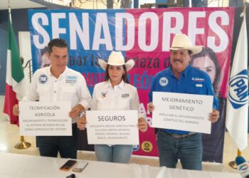 Urgen candidatos al senado reactivar apoyos al campo de NL