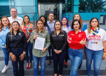 Denuncia Lorena de la Garza violencia y acoso