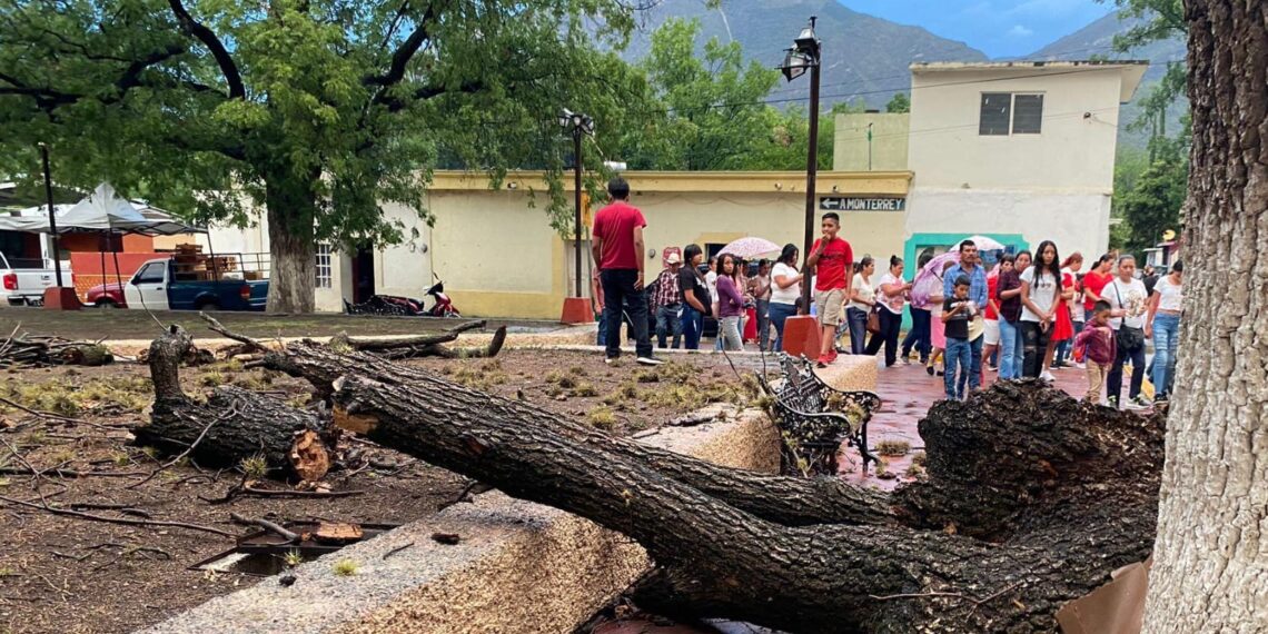 Continúa campaña de MC en Zaragoza pese a veda electoral