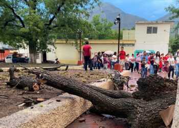 Continúa campaña de MC en Zaragoza pese a veda electoral