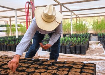 Se mantiene Heineken en armonía con el medio ambiente