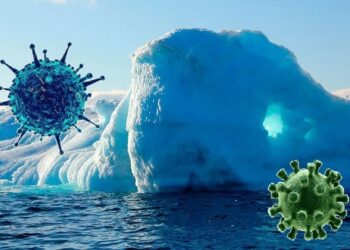 Virus gigante podría evitar el derretimiento del hielo