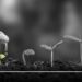 Emprendedores muestran avances tras participar en el HEINEKEN Green Challenge