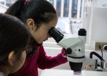 La ciencia: déjese al alcance de los niños