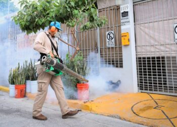 Dengue acecha ante llegada de más lluvia