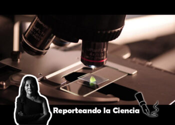 México tiene buenas noticias en la ciencia