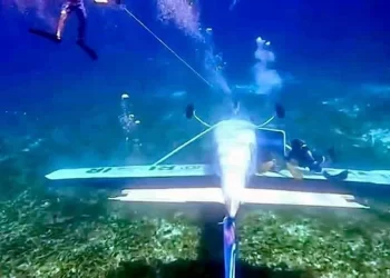 Cae aeronave en Cozumel, rescatan con vida al piloto