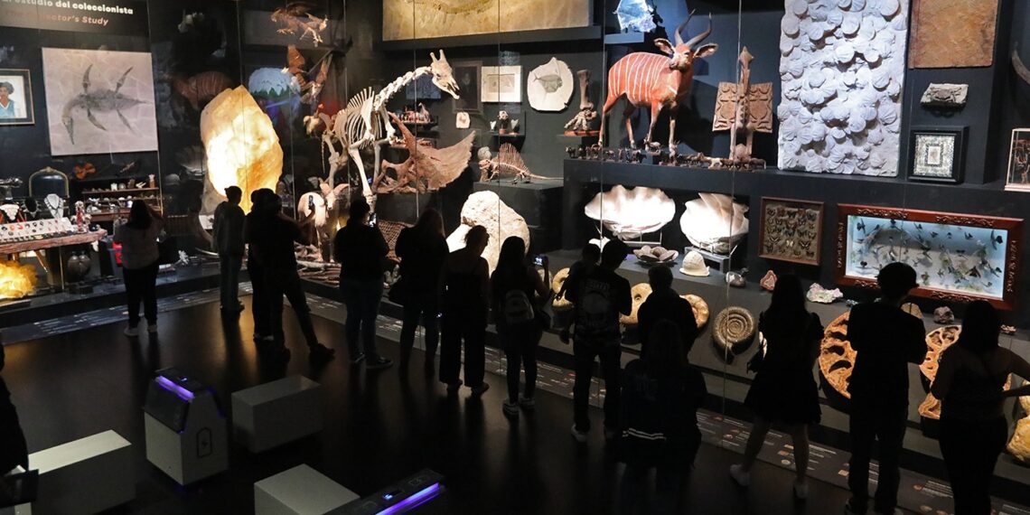 La Milarca abre sus puertas