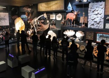 La Milarca abre sus puertas