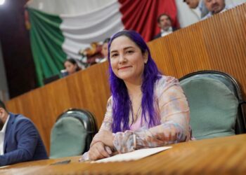 Propone diputada limpieza inmediata tras accidentes